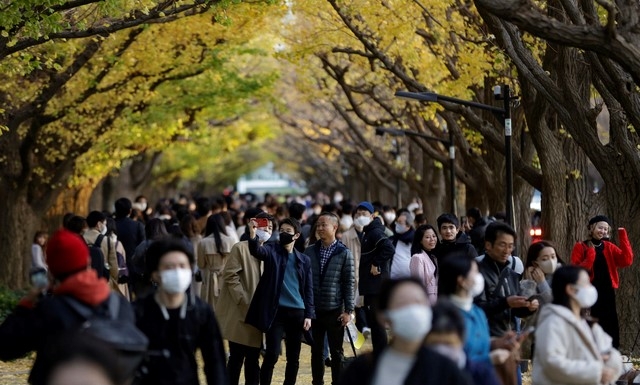 지난 28일 일본 도쿄에서 신종 코로나바이러스 감염증(코로나19) 감염 예방을 위해 마스크를 착용한 시민들이 노랗게 물든 은행 나무 거리를 걷고 있다.