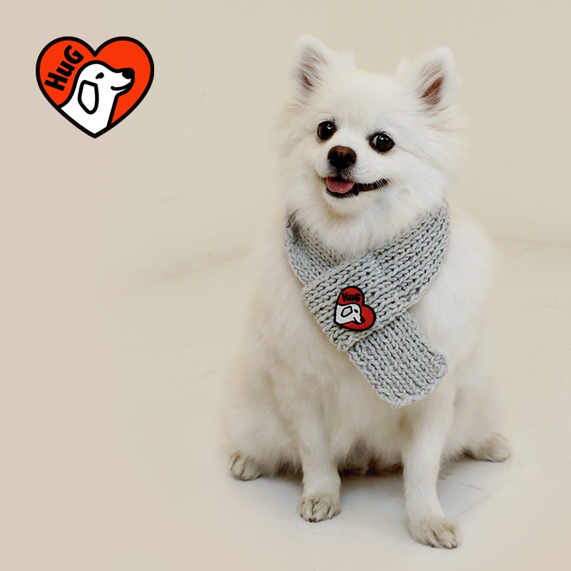 현대H몰, 유기견 후원 캠페인 'HuG' 전개... 유기견들의 따뜻한 겨울나기에 앞장선다