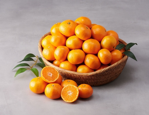 롯데마트, 제주 올레길 감귤 참고 사진