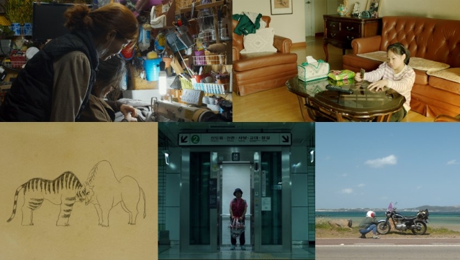 상단 왼쪽부터 '실', '신도시 키드', '캠핑을 좋아하세요', '실버 택배', '호랑이와 소' / 사진 제공 = 홈초이스