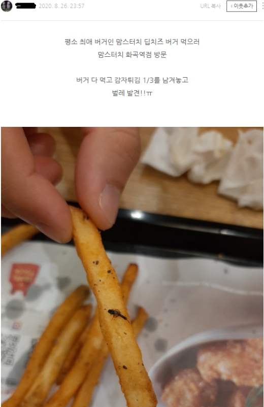 지난 8월26일 맘스터치 감자튀김에 벌레로 추정되는 이물질이 붙어있다고 주장하는 내용이 네이버 블로그에 게재됐다.