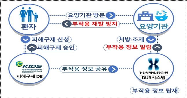 이미지 제공 = 심사평가원