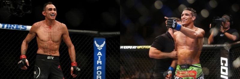 올 마지막 황금매치. 만만찮은 싸움 될 퍼거슨, 소자, 산토스-13일 UFC 4경기