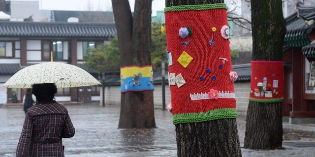 쌀쌀한 가을비가 내린 지난달 19일 전북 전주시 전주한옥마을 태조로의 모든 가로수에 따뜻한 겨울나기를 대비한 겨울옷이 입혀져 있다.