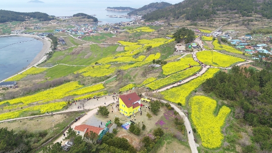 완도군 청산도 전경./사진=완도군