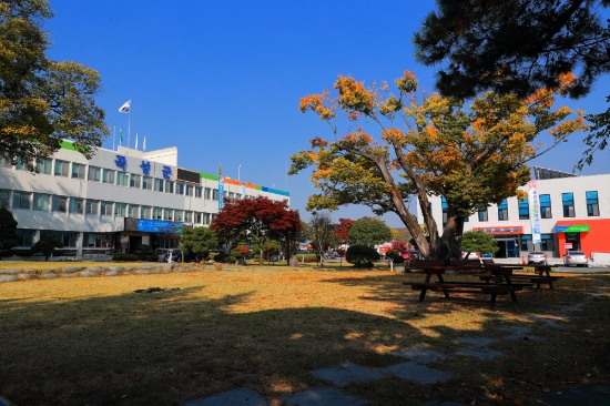 곡성군청 전경/사진=곡성군