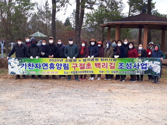 영암군 기찬자연휴양림 구절초 백리길 조성사업/사진=영암군