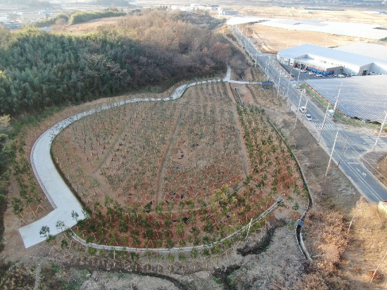 강진산업단지와 성전면 송학마을 간 공기정화숲/사진=강진군