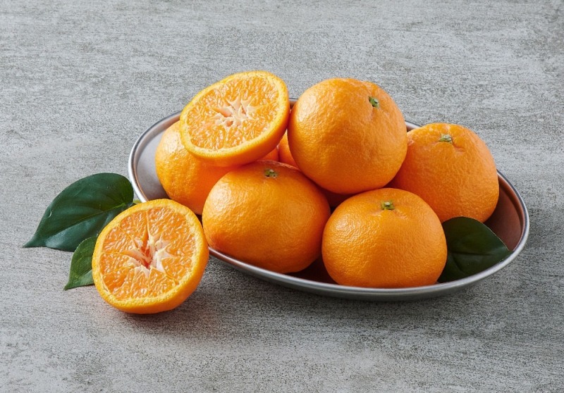 롯데온, '제주 감귤 데이' 개최...판매 활성화 행사 진행