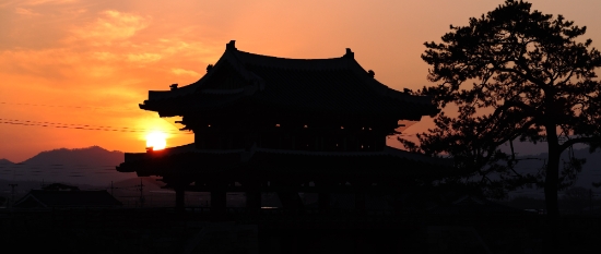 사진=강진군