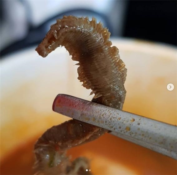 지난 10월 18일 '신라면 블랙 두부김치'에서 발견됐다는 벌레의 모습