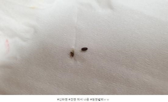 지난 8월 12일 한 직장인이 직장 근처 편의점에서 신라면 건면을 구입했는데 그곳에서 권연벌레로 추정되는 벌레 두마리가 발견됐다고 주장했다.