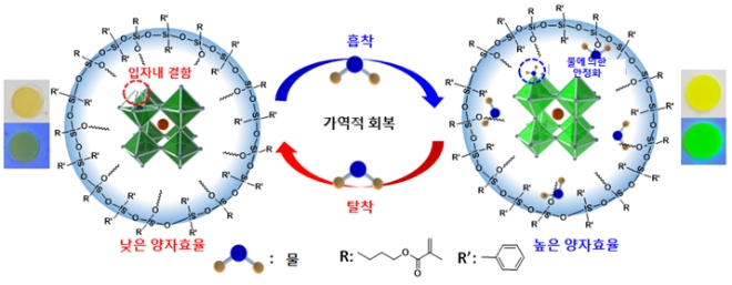 이번 연구에서 개발된 실록산 재료에 의해 캡슐화된 페로브스카이트 나노 입자 복합체의 개념도 / 이미지 제공 = KAIST