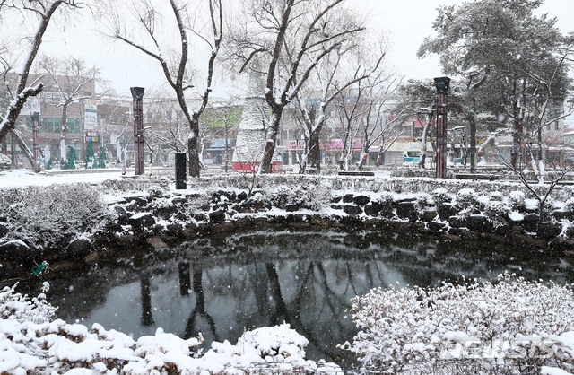 사진=태백시청 제공