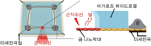 나노 광열 신경 칩 플랫폼 모식도 / 이미지 제공 = KAIST