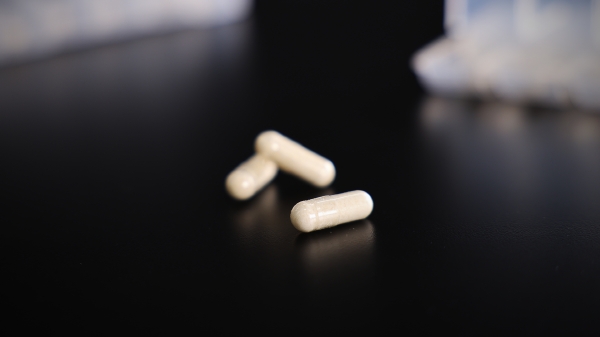 사진제공=㈜큐브바이오 제공