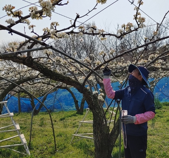 신규 농업인 현장실습교육/사진=영암군