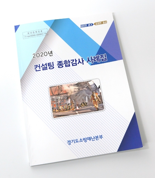컨설팅 종합감사 사례집 모습