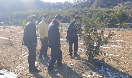고흥군, 겨울철 농작물 동해 예방관리 기술지도 /사진=고흥군