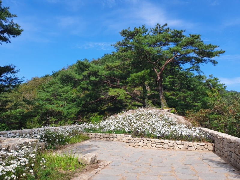 국립수목원이 야생화 명소 발굴 및 관광자원 개발을 위해 조성사업을 추진한다. 사진=국립수목원 제공
