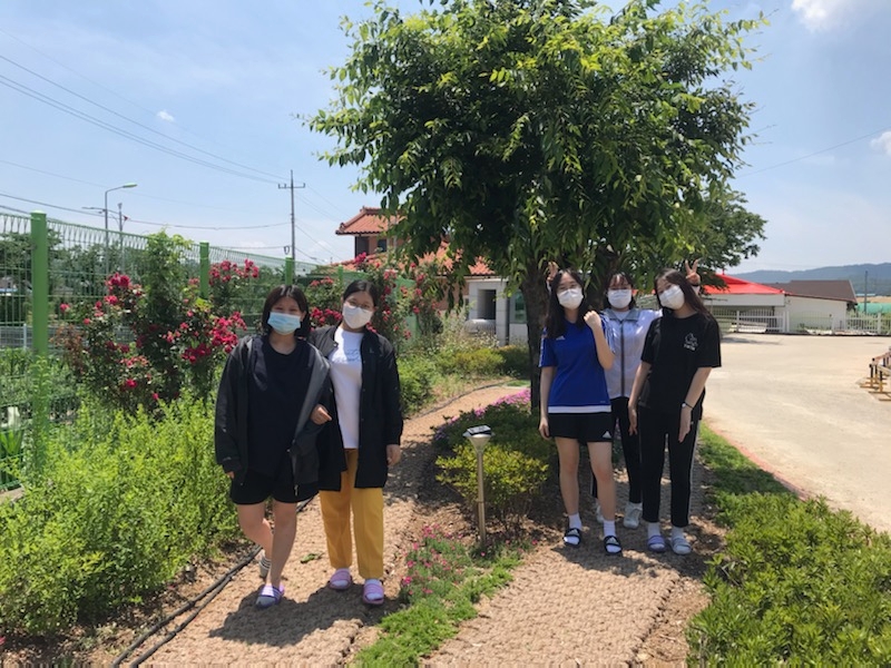 사진 = 지난해 의성여고 녹색학교 가꾸기 사업으로 교정에 마련된 녹색 산책로