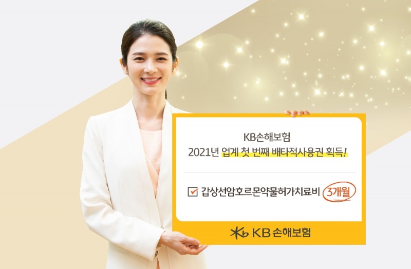 (사진=KB손해보험 제공)