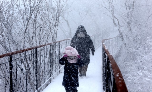관광객들이 지난 18일 오후 대설주의보가 발효 중인 강원도 평창 발왕산에서 펑펑 내리는 눈을 맞으며 겨울의 아름다운 경치를 즐기고 있다.