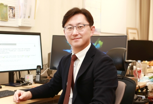 분당서울대병원 정신건강의학과 김의태 교수