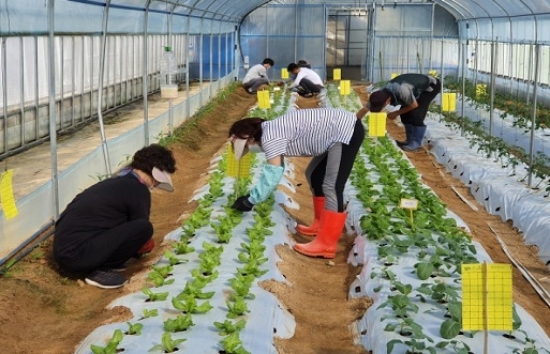 사진=담양군