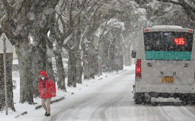 눈 내리는 제주