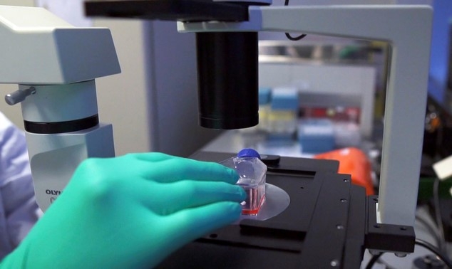 지난 2020년 9월 네덜란드 레이던 소재 존슨앤드존슨 연구소에서 한 연구자가 신종 코로나바이러스 감염증(코로나19) 백신을 연구하는 모습.