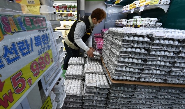 경기도 오산시 한 마트에서 직원이 미국산 계란을 정리하고 있다.