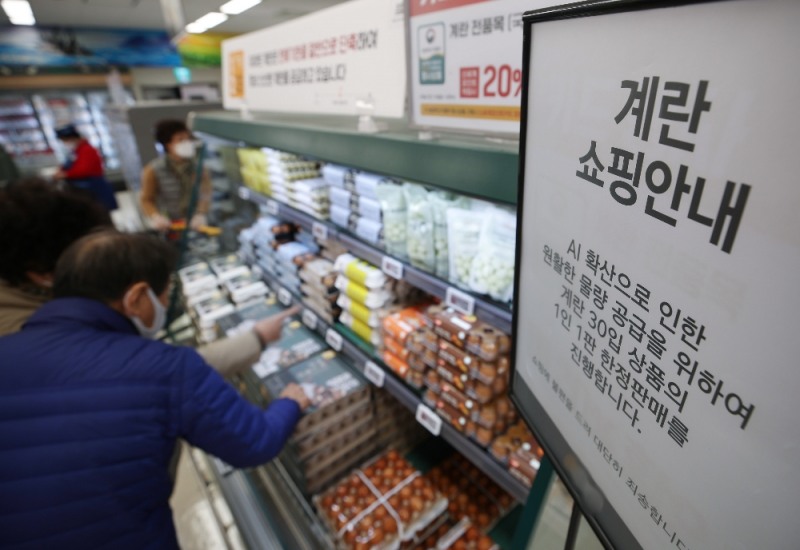 서울 시내 한 마트에서 소비자들이 1인 한판(30구)으로 구매 수량이 제한된 계란을 구입하고 있다. (사진=뉴시스)