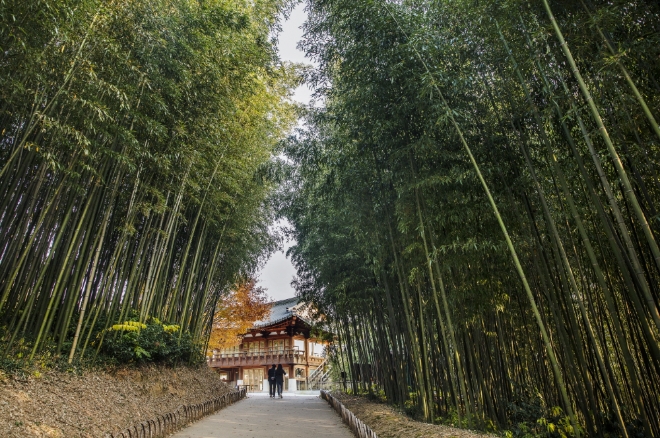 <사진=연합뉴스>