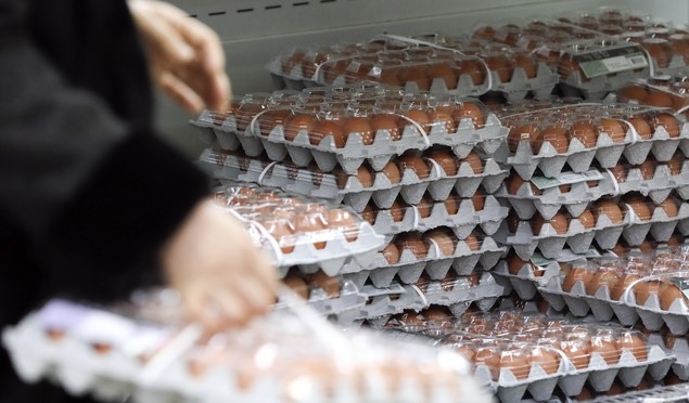 통계청이 2일 발표한 '1월 소비자물가동향'에 따르면 조류인플루엔자(AI) 영향으로 계란, 닭고기 가격이 큰 폭으로 상승하며 전체 물가 하락을 막은 것으로 나타났다.