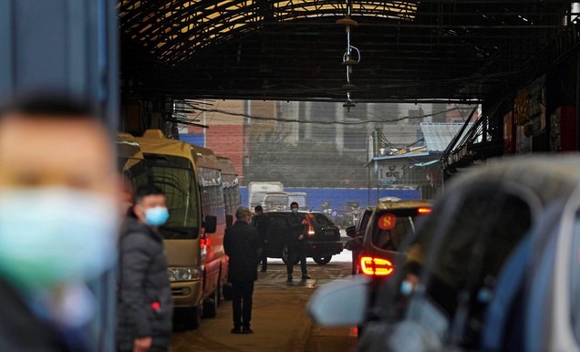 31일 중국 우한 화난 수산물도매시장에 세계보건기구(WHO) 조사단이 탑승한 차량들이 진입하고 있다. 다국적 전문가팀은 이날 우한 조사 일정 3일째를 맞아 이곳을 방문했다.