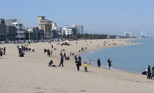 민족 최대의 명절인 설날인 12일 오전 봄처럼 따뜻한 날씨에 나들이 나온 시민들이 강원도 강릉 안목해변에서 즐거운 휴일 한때를 보내고 있다.