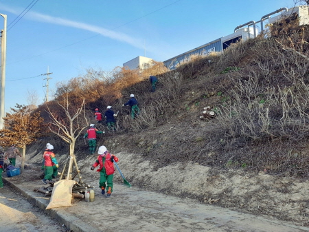장흥군 숲 정원,가로수 정비사업 착수/사진=장흥군