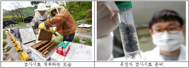 사진 = 경기도
