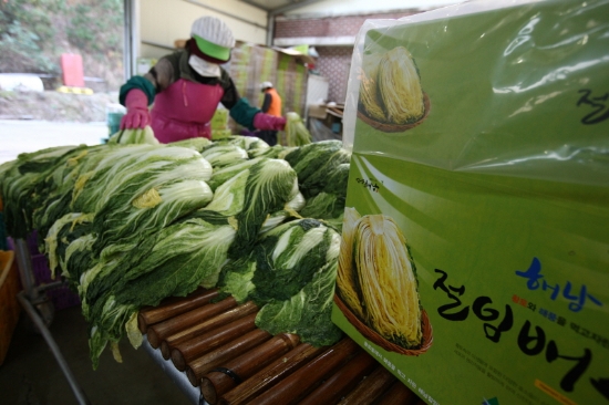 사진=해남군
