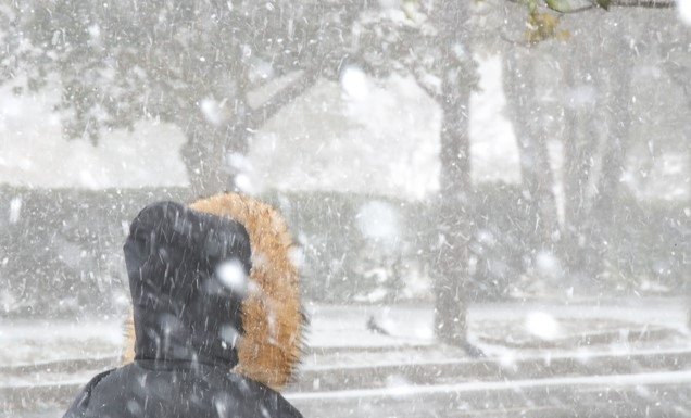 눈이 녹아 비가 된다는 절기 '우수'(雨水)를 하루 앞둔 17일 오후 제주대학교 교정에 눈보라가 치고 있다. 기상청에 따르면 이날 한때 제주 고산 지역에 초속 28.7m의 강한 바람이 부는 등 기상이 악화하고 있다.