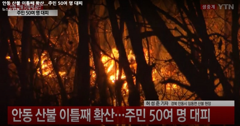 사진=YTN 뉴스 방송화면 캡쳐