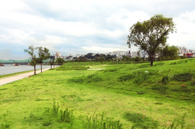 여의도 한강공원