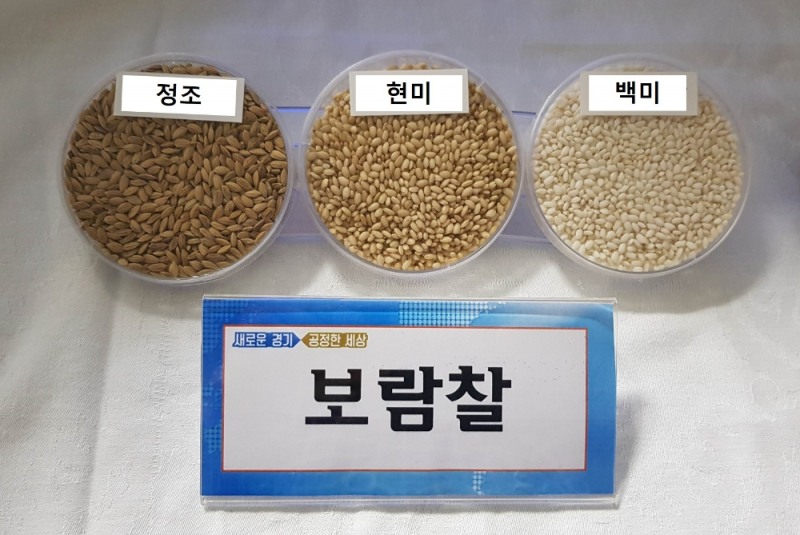 보람찰 종자 모습. / 사진 = 경기도뉴스포털