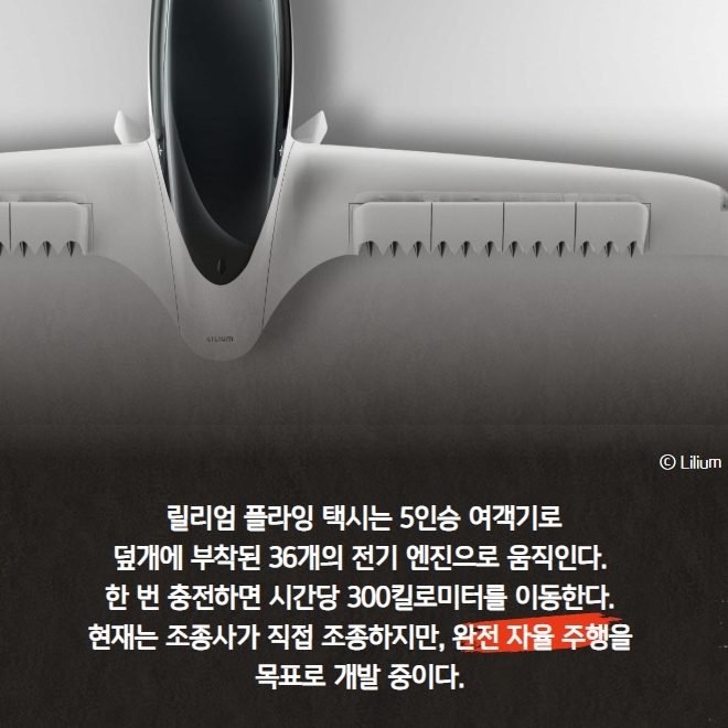 테슬라 2대 주주 마음 뺏은 '플라잉 택시'