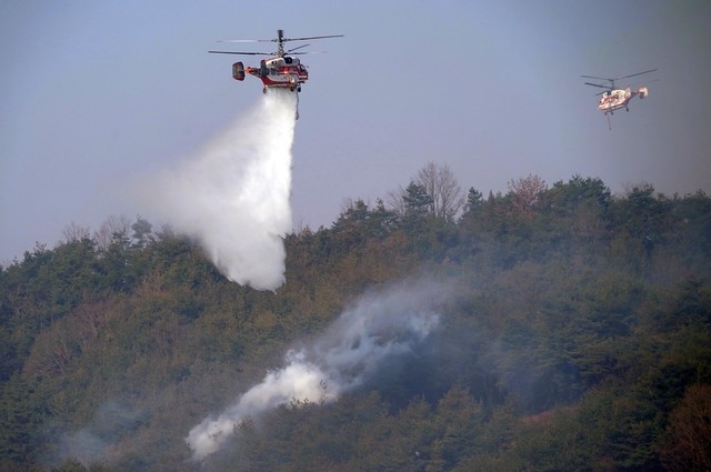 산림청 산림헬기가 지난 22일 오전 경북 안동시 임동면 산불현장에서 물을 투하하며 산불을 진화하고 있다. (사진=산림청 제공) 