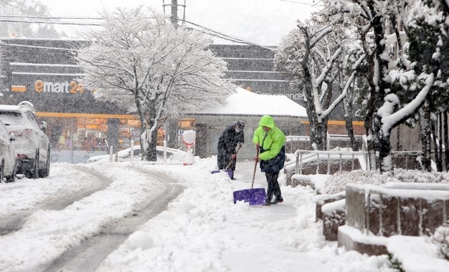 1일 오후 대설경보가 내려진 강원도 강릉에 눈이 펑펑 쏟아지고 있다. 강원지방기상청에 따르면 눈은 2일 오후 3시까지 최고 60㎝의 적설량을 기록할 것으로 예상된다. 대설특보는 중·남·북부 산지와 영동 6개 시·군, 태백, 철원, 화천, 양구, 인제에 발령됐다.