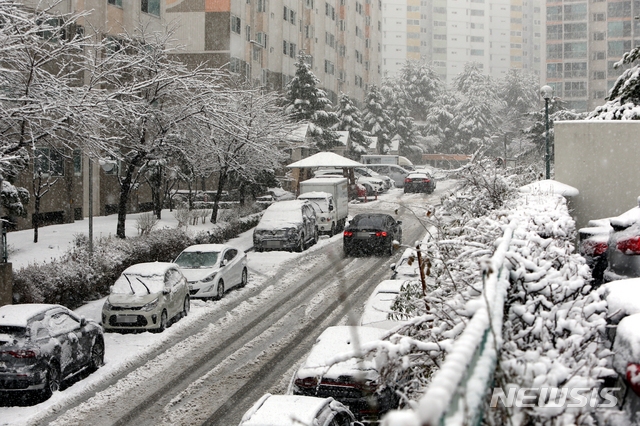 1일 오후 대설경보가 내려진 강원도 강릉에 눈이 펑펑 쏟아지고 있다. 강원지방기상청에 따르면 눈은 2일 오후 3시까지 최고 60㎝의 적설량을 기록할 것으로 예상된다. 대설특보는 중·남·북부 산지와 영동 6개 시·군, 태백, 철원, 화천, 양구, 인제에 발령됐다.