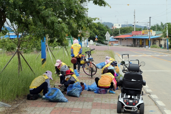 영암군은 저소득 노인의 사회활동 참여기회 확대 및 코로나19로 인한 소득 공백 방지를 위해 노인일자리 사업(공익활동, 시장형, 사회서비스형)을 전면 추진한다/사진=영암군