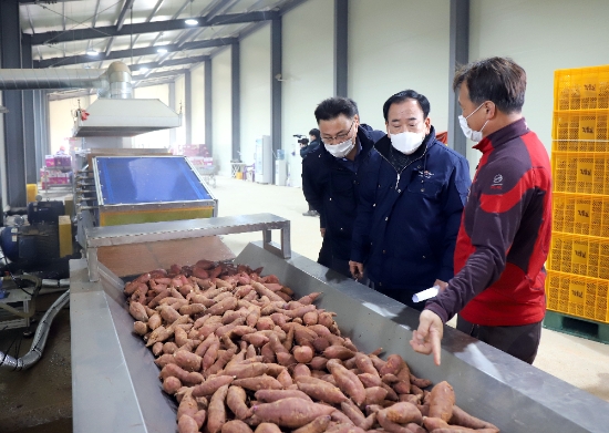 사진=영광군